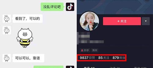 揭秘抖音吸粉软件真相（说出你不知道的抖音吸粉软件真相）